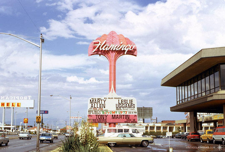 Vintage Flamingo Sign Pin
