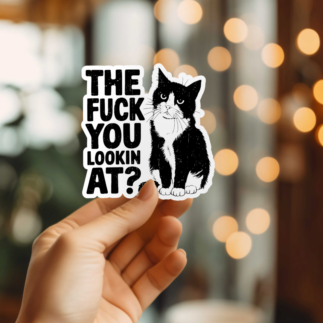 The F*ck You Lookin At Sticker