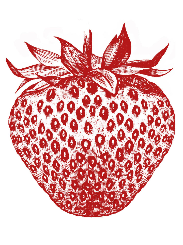 Red strawberry illustration on a white background