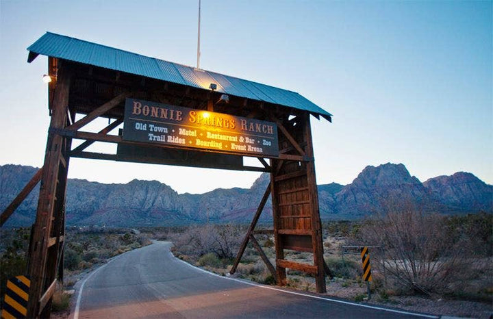 Bonnie Springs Sheriff Badge