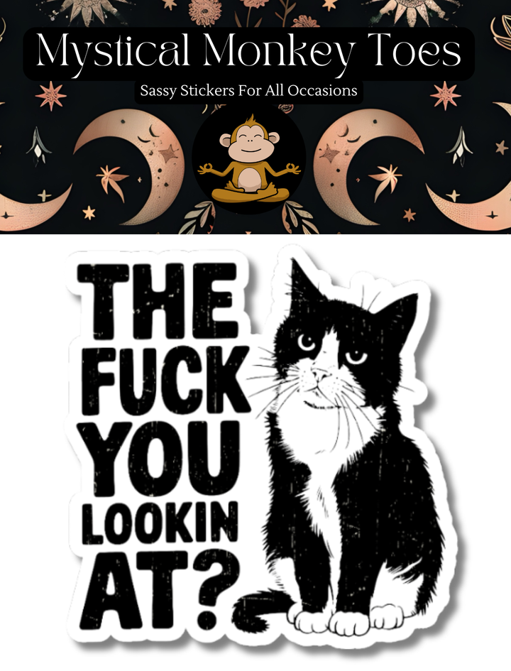 The F*ck You Lookin At Sticker